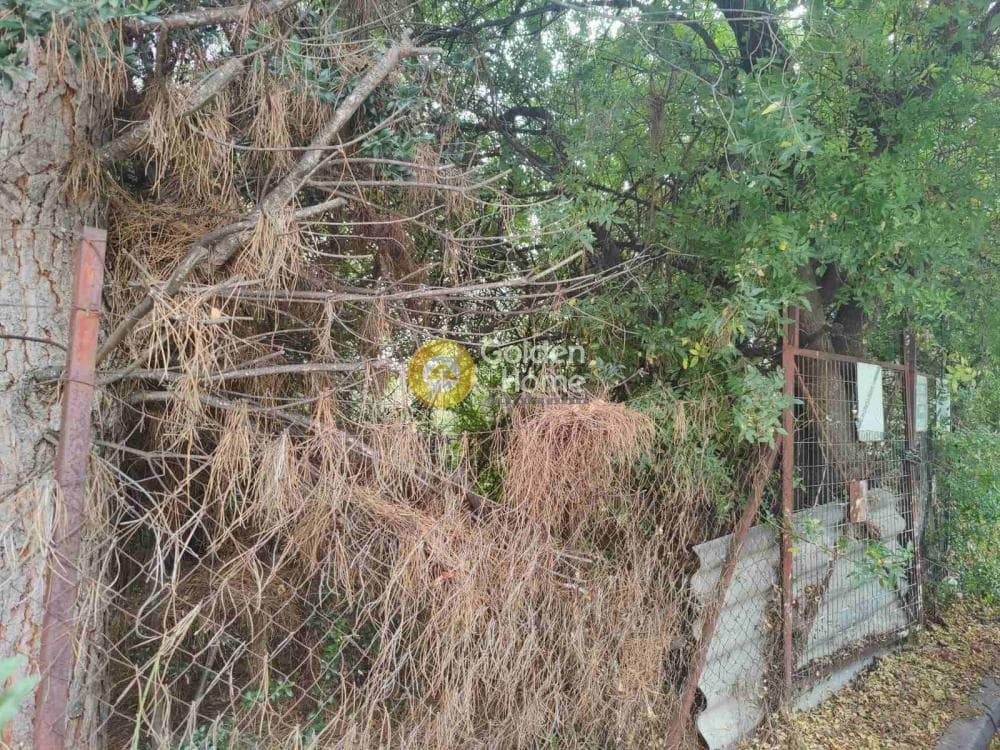 Οικόπεδο στην Άνω Μπαλάνα, Παλλήνη — Φωτογραφία 1 από 8