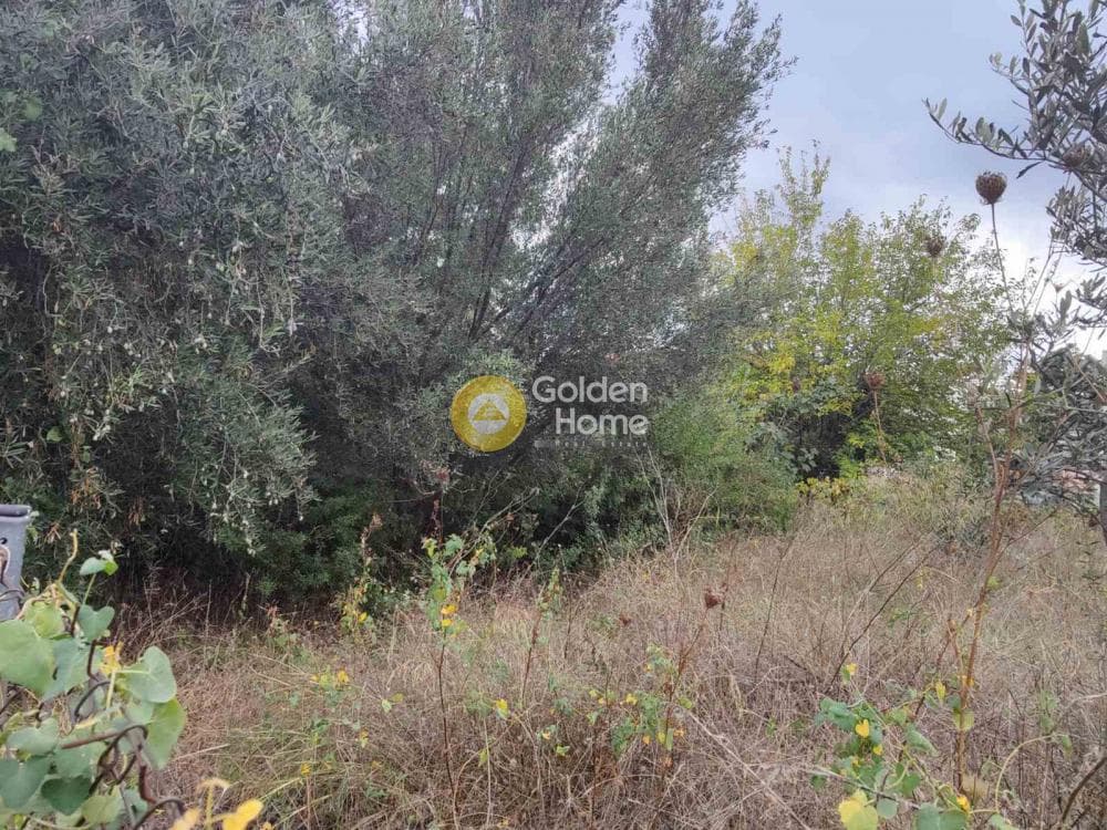 Οικόπεδο στην Άνω Μπαλάνα, Παλλήνη — Φωτογραφία 3 από 8