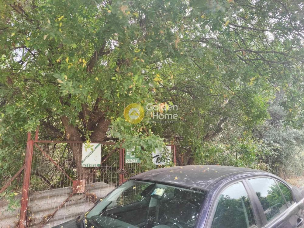 Οικόπεδο στην Άνω Μπαλάνα, Παλλήνη — Φωτογραφία 4 από 8
