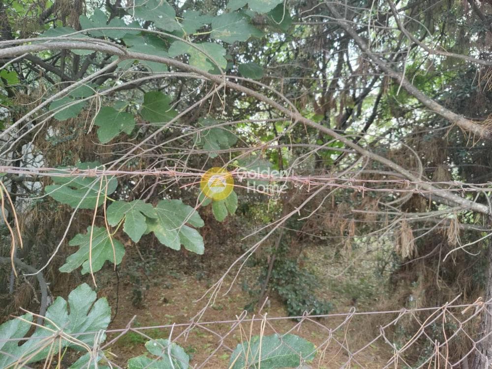 Οικόπεδο στην Άνω Μπαλάνα, Παλλήνη — Φωτογραφία 6 από 8