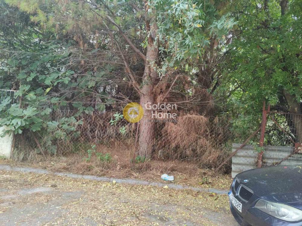 Οικόπεδο στην Άνω Μπαλάνα, Παλλήνη — Φωτογραφία 7 από 8