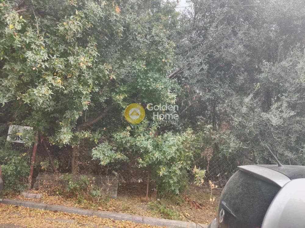Οικόπεδο στην Άνω Μπαλάνα, Παλλήνη — Φωτογραφία 8 από 8