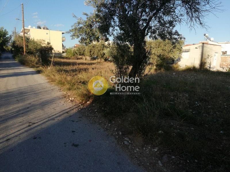 Αγροτεμάχιο στην Ολυμπιακό Χωριό, Κηφισιά — Φωτογραφία 3 από 3