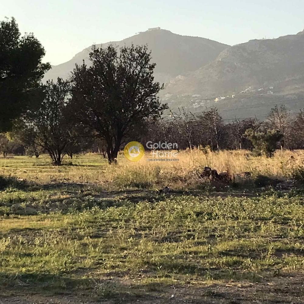 Αγροτεμάχιο στην Βαρυμπόμπη, Κρυονέρι — Φωτογραφία 1 από 11