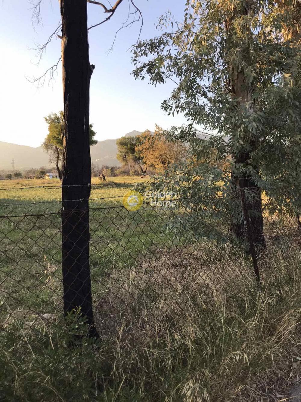 Αγροτεμάχιο στην Βαρυμπόμπη, Κρυονέρι — Φωτογραφία 11 από 11