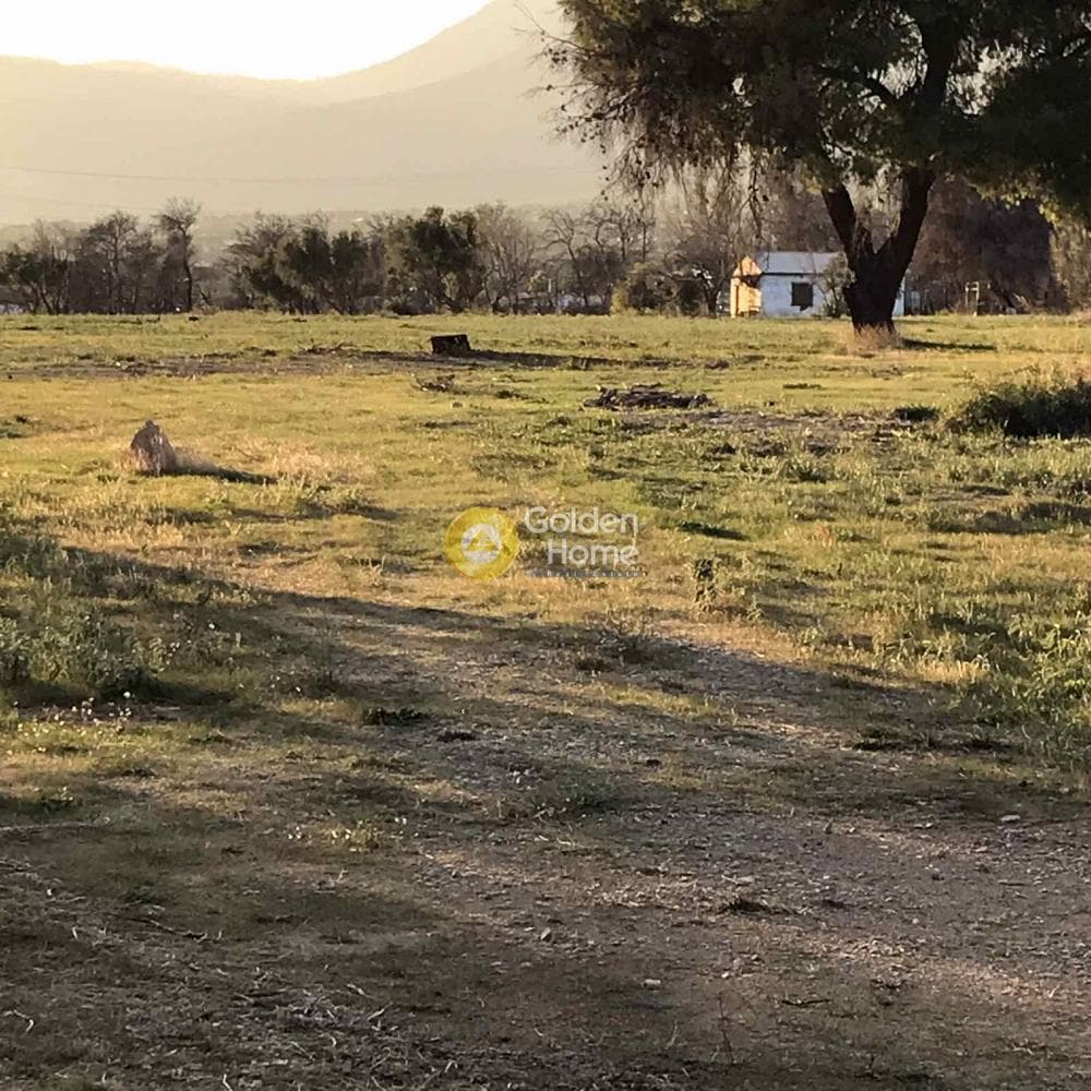 Αγροτεμάχιο στην Βαρυμπόμπη, Κρυονέρι — Φωτογραφία 5 από 9