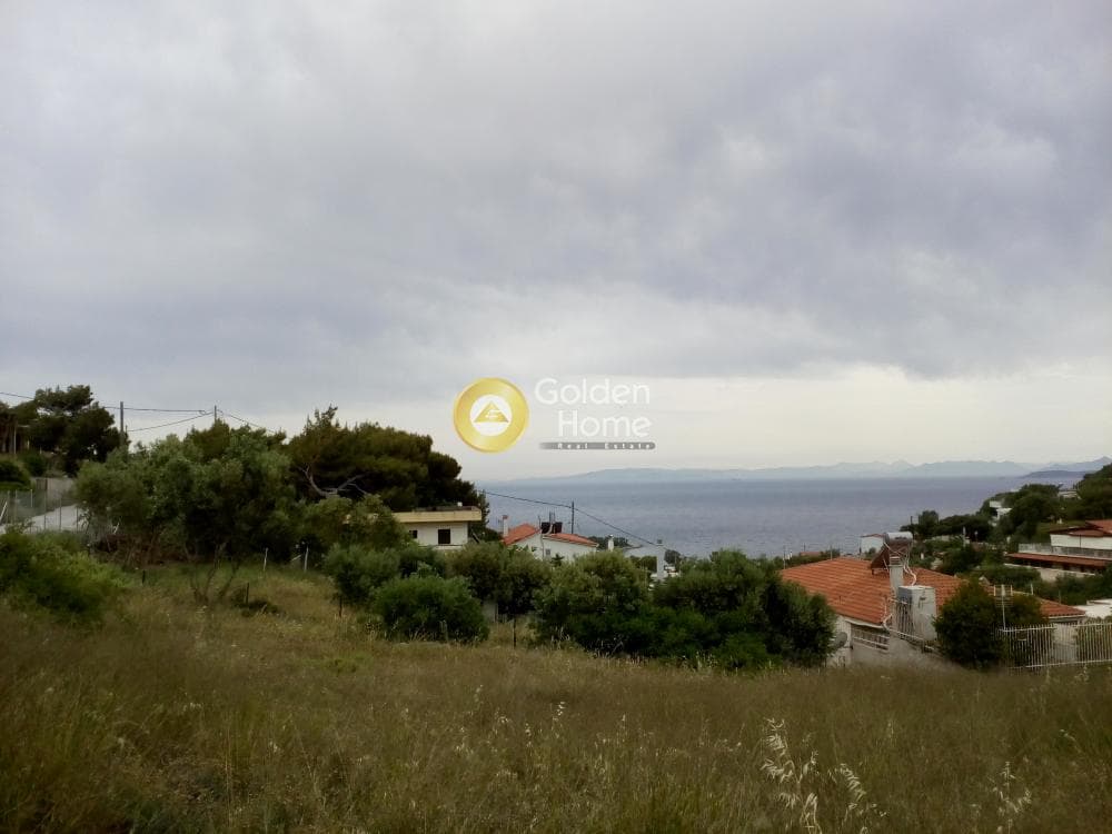 Parcel in Galazia akti, Kalivia Thorikou — Photo 5 of 5