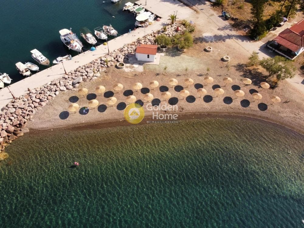 Building Plot in Kalloni, Trizina — Photo 5 of 6