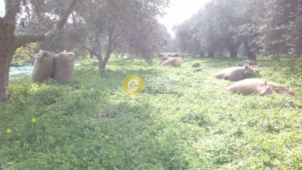 Building Plot in Monochoro, Moires — Photo 2 of 3