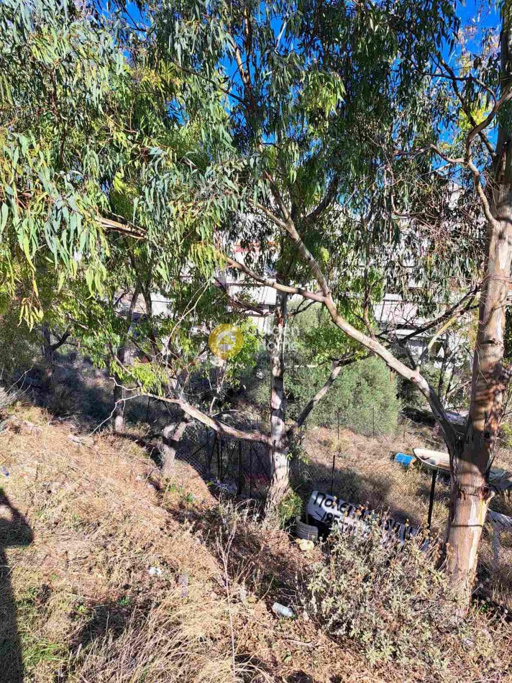 Οικόπεδο στην Σχιστό Κορυδαλλού, Κορυδαλλός — Φωτογραφία 3 από 4