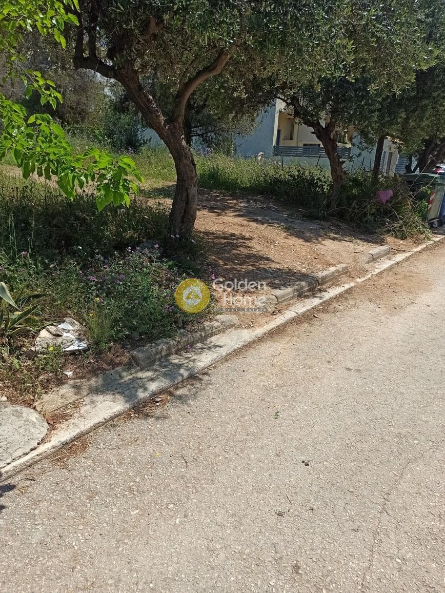 Οικόπεδο στην Πάτημα, Χαλάνδρι — Φωτογραφία 2 από 5