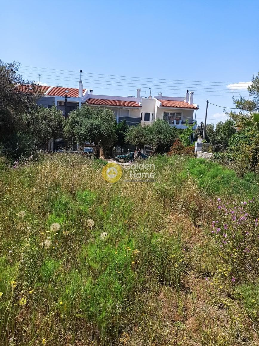 Οικόπεδο στην Πάτημα, Χαλάνδρι — Φωτογραφία 3 από 5