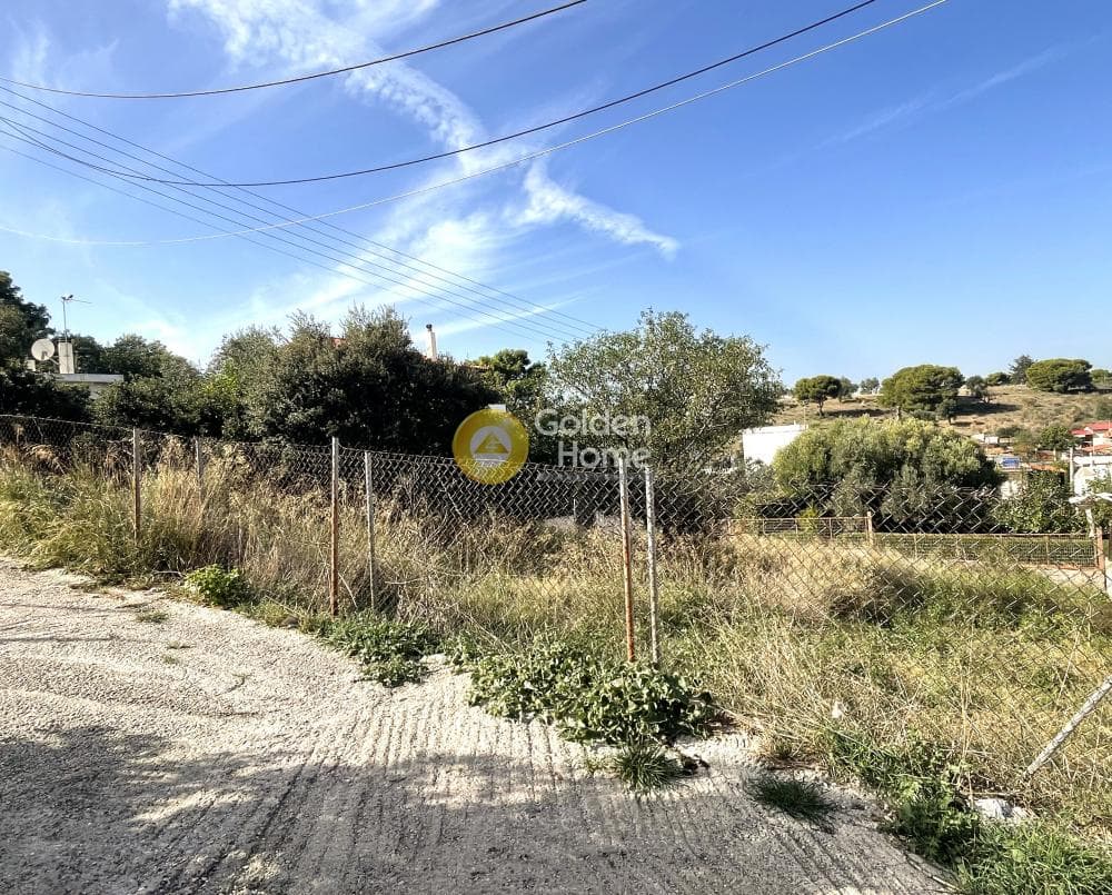 Οικόπεδο στην Βορινέζα, Αρτέμιδα (Λούτσα) — Φωτογραφία 3 από 5