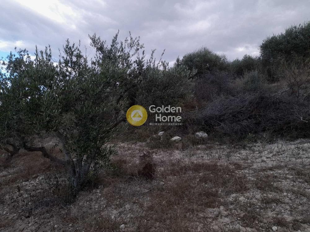 Οικόπεδο στην Κάτω Αρχάνες, Αρχάνες — Φωτογραφία 2 από 6