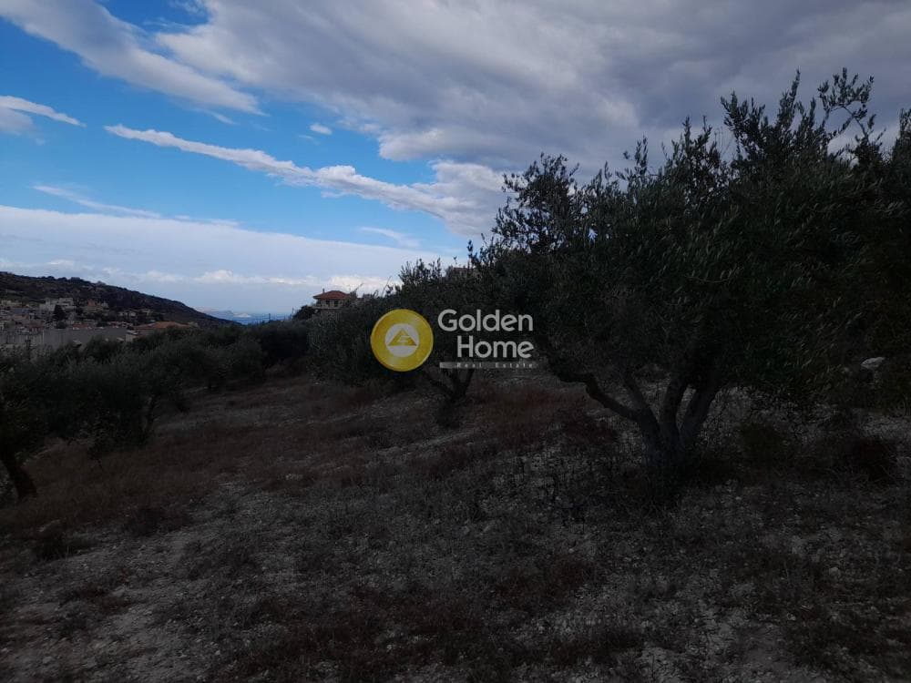 Οικόπεδο στην Κάτω Αρχάνες, Αρχάνες — Φωτογραφία 5 από 6