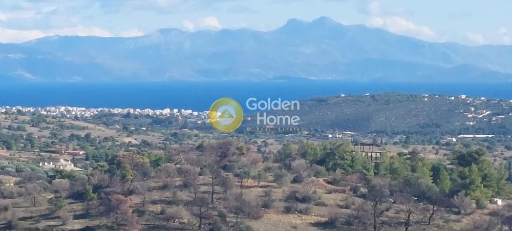 Building Plot in Nea Pallini, Pallini — Photo 18 of 19