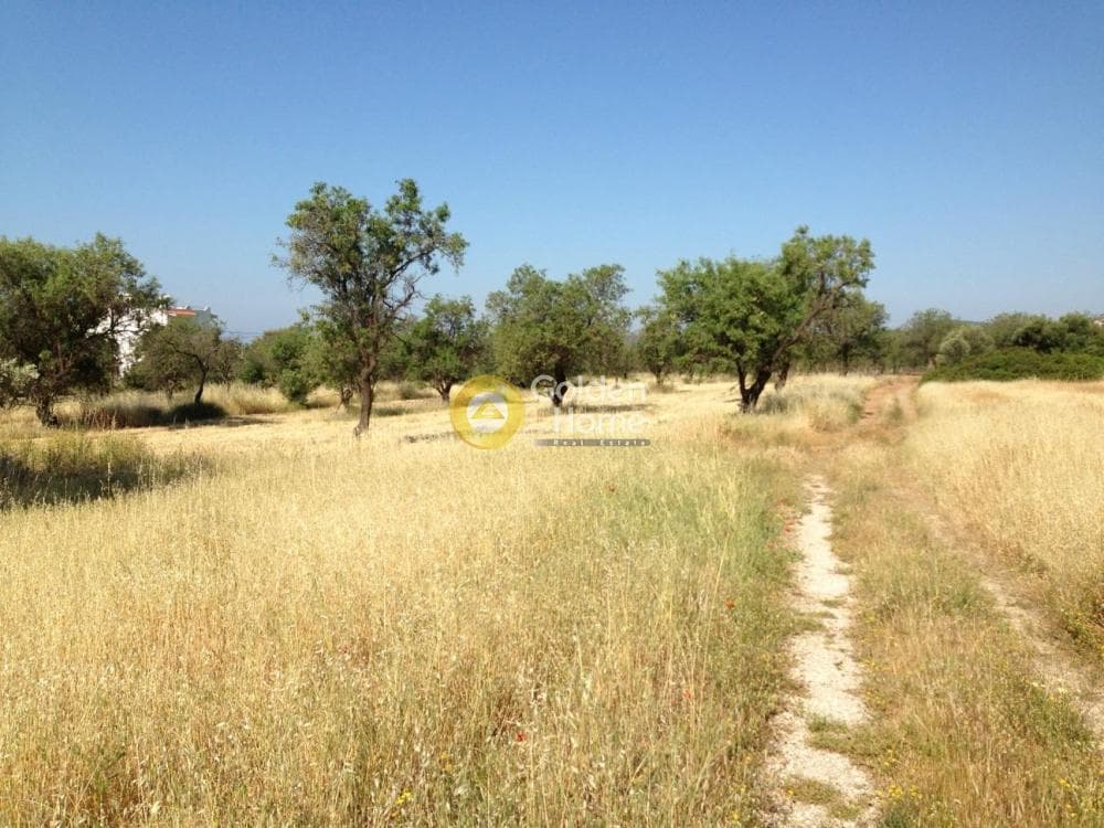 House in ATE, Anavissos — Photo 2 of 3