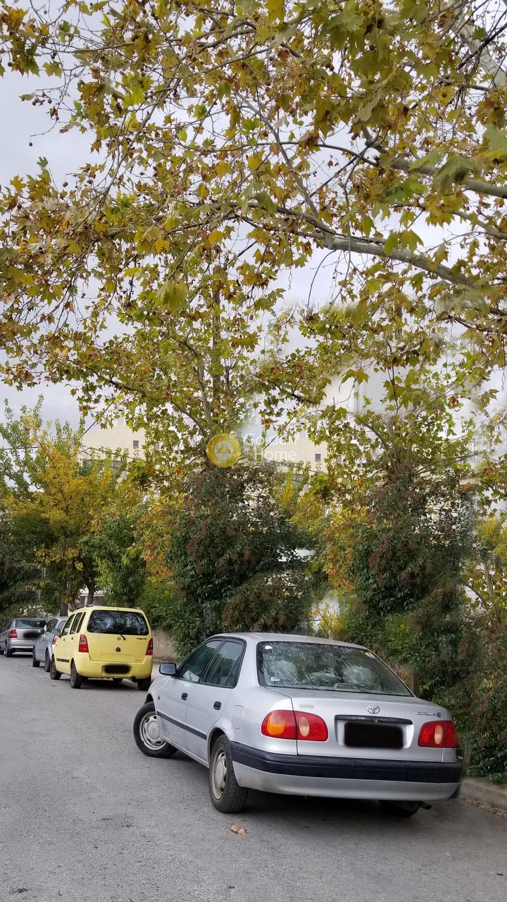 Κατάστημα στην Κοκκινιά, Μαρούσι