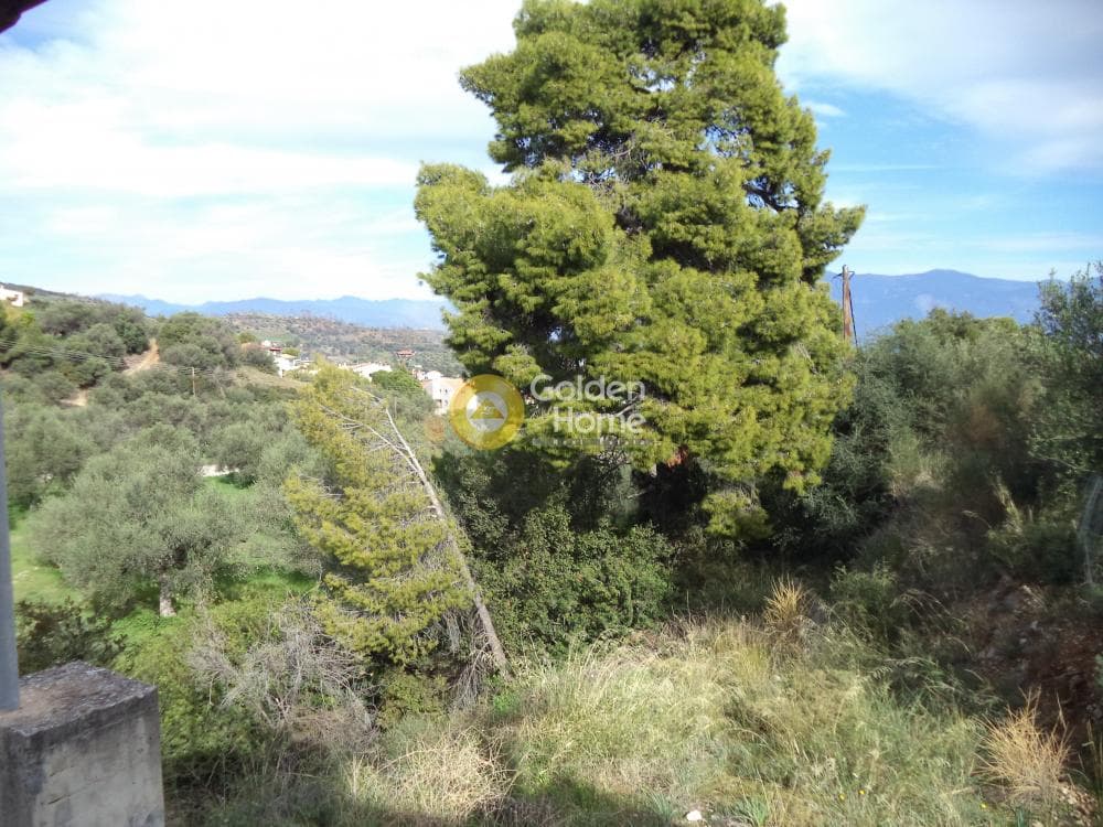 Μονοκατοικία στην Ζήρια, Ερίνεο — Φωτογραφία 3 από 9