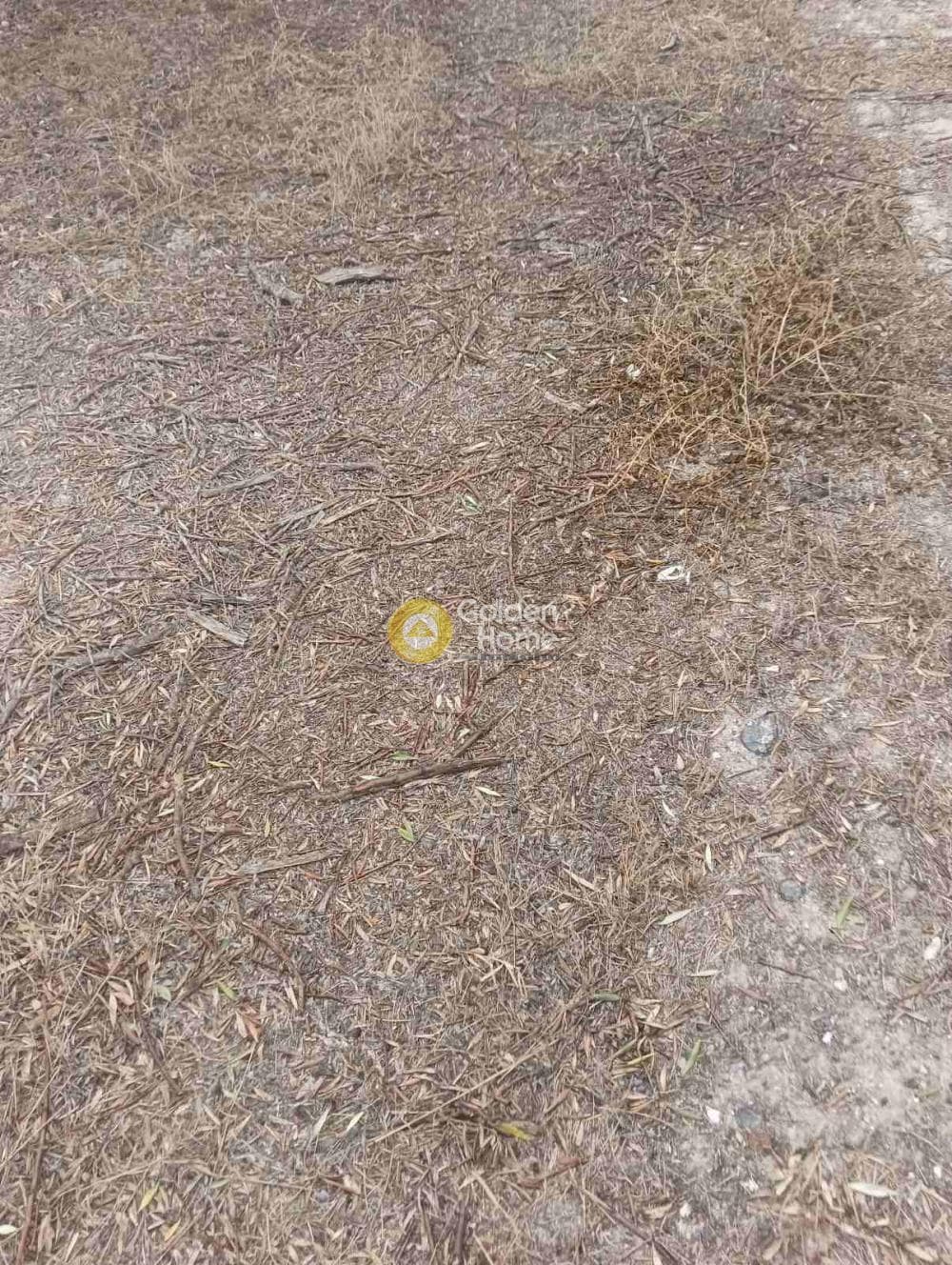 Οικόπεδο στην Βούτες, Τέμενος — Φωτογραφία 18 από 21
