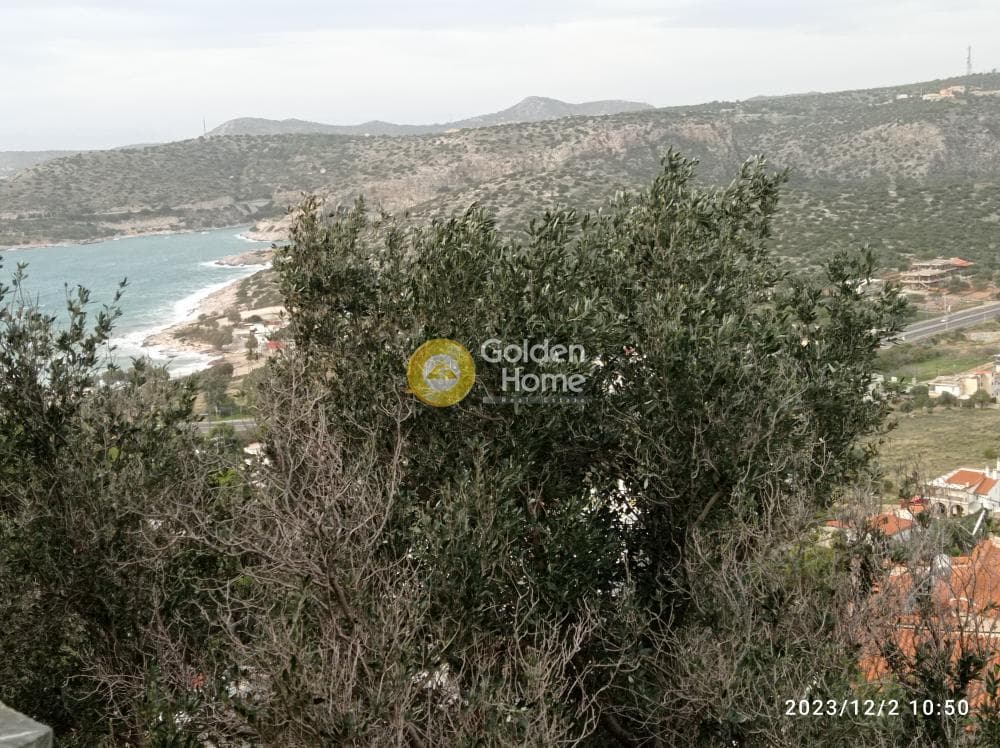 Μονοκατοικία στην Αγία Μαρίνα, Κορωπί — Φωτογραφία 6 από 18