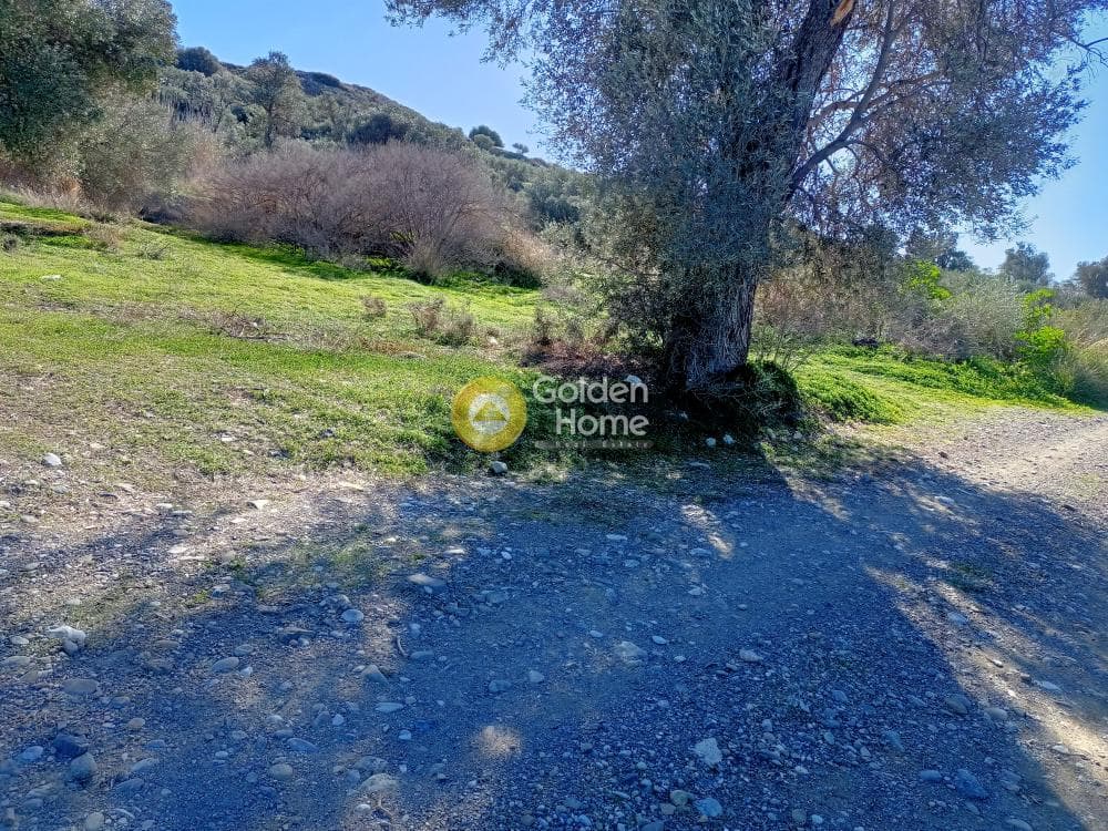 Αγροτεμάχιο στην Καμηλάρι, Τυμπάκι — Φωτογραφία 1 από 5