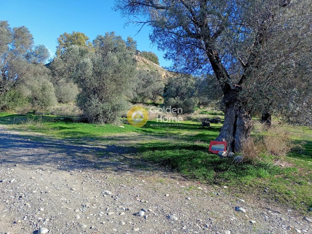 Αγροτεμάχιο στην Καμηλάρι, Τυμπάκι — Φωτογραφία 2 από 5