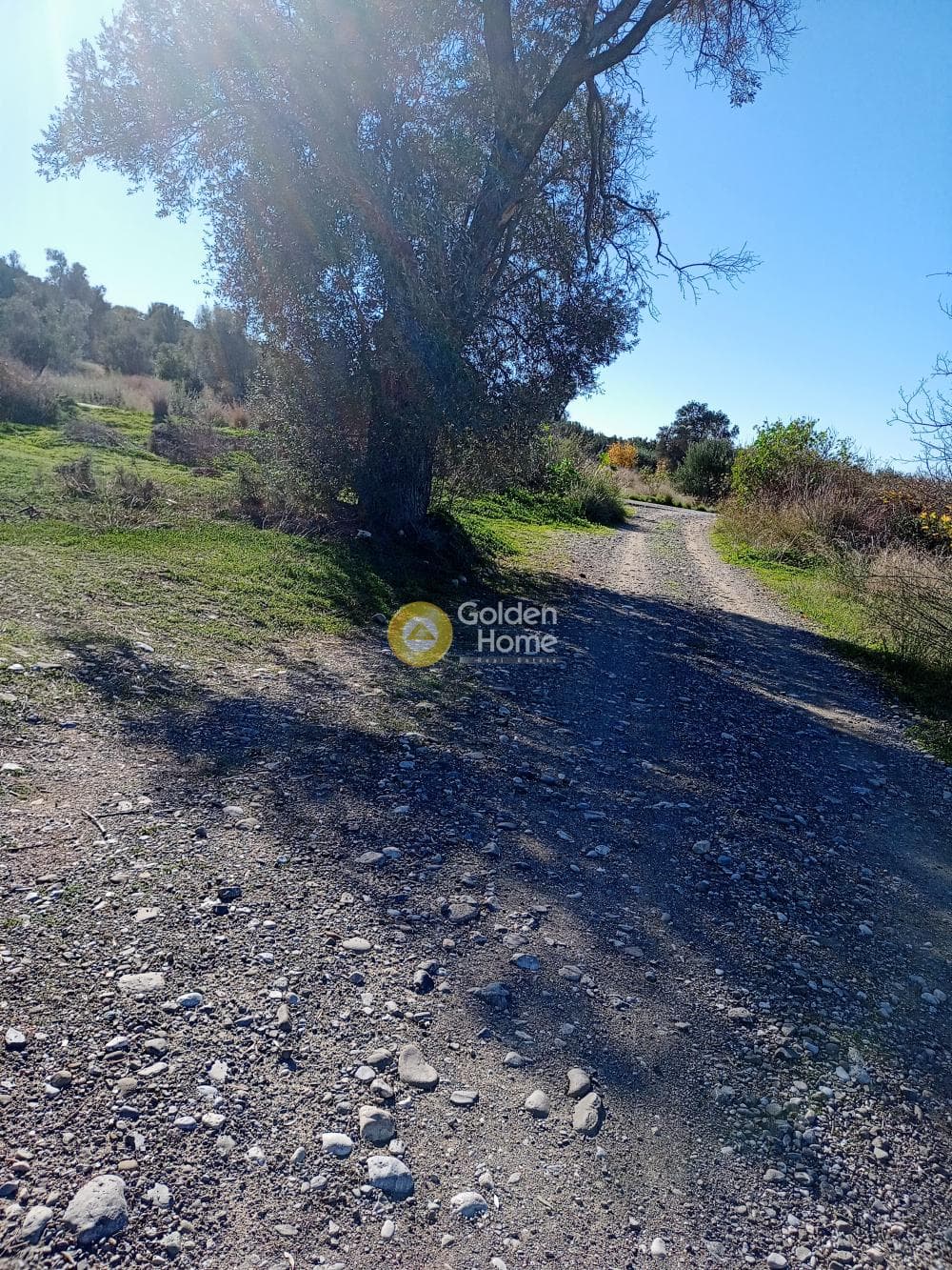 Αγροτεμάχιο στην Καμηλάρι, Τυμπάκι — Φωτογραφία 3 από 5