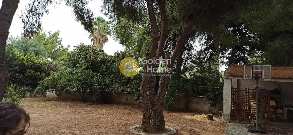Διαμέρισμα στην Πανόραμα, Μεταμόρφωση — Φωτογραφία 10 από 45