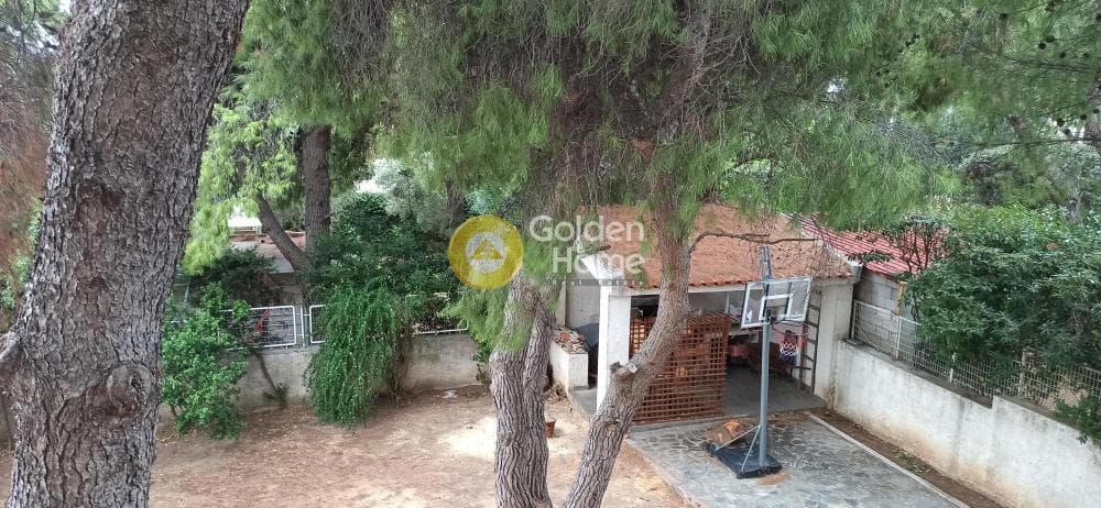 Διαμέρισμα στην Πανόραμα, Μεταμόρφωση — Φωτογραφία 8 από 45