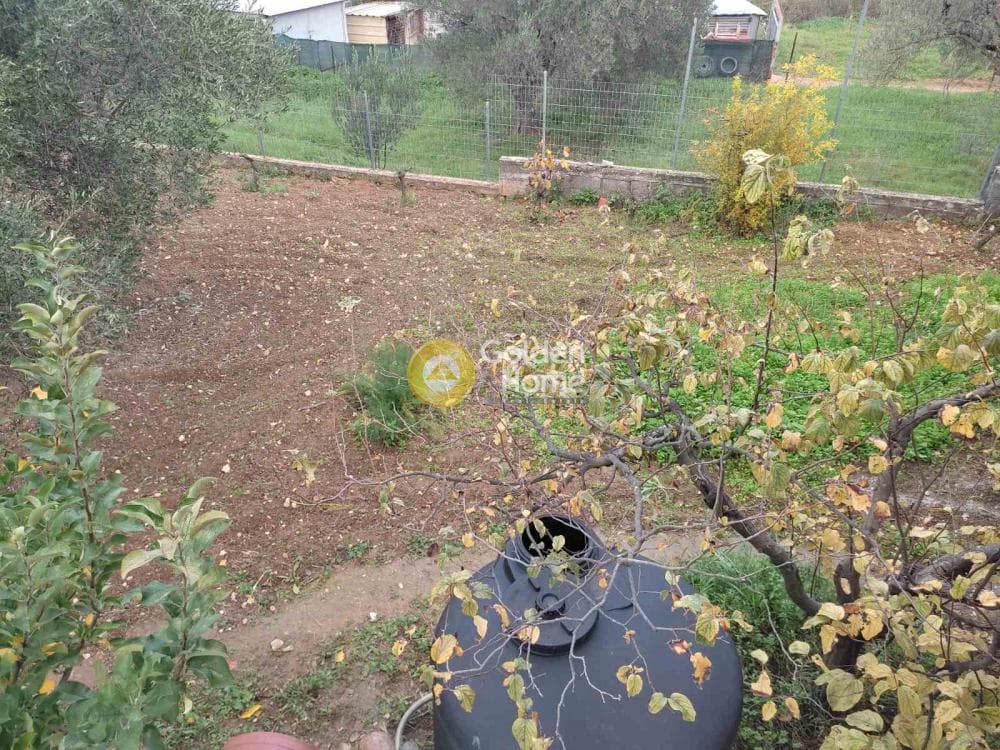 Μονοκατοικία στην Αλαμάννος, Σαρωνικός — Φωτογραφία 39 από 51