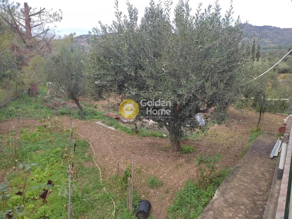 Μονοκατοικία στην Αλαμάννος, Σαρωνικός — Φωτογραφία 41 από 51