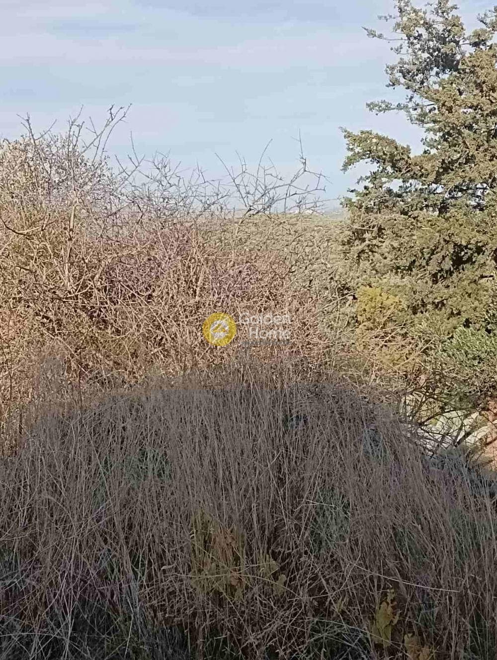 Οικόπεδο στην Κουνάβοι, Αρχάνες — Φωτογραφία 3 από 19