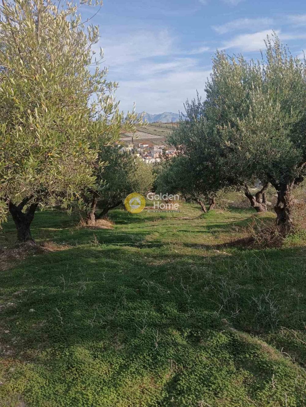 Οικόπεδο στην Κουνάβοι, Αρχάνες — Φωτογραφία 17 από 19