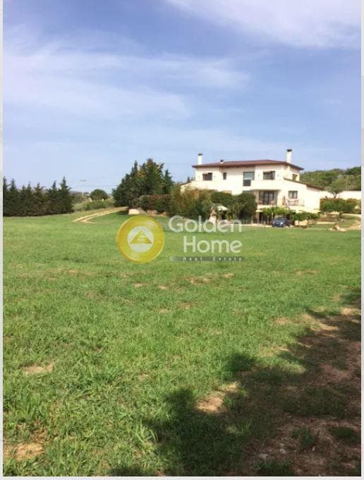 House in Agia Triada, Markopoulo — Photo 1 of 31