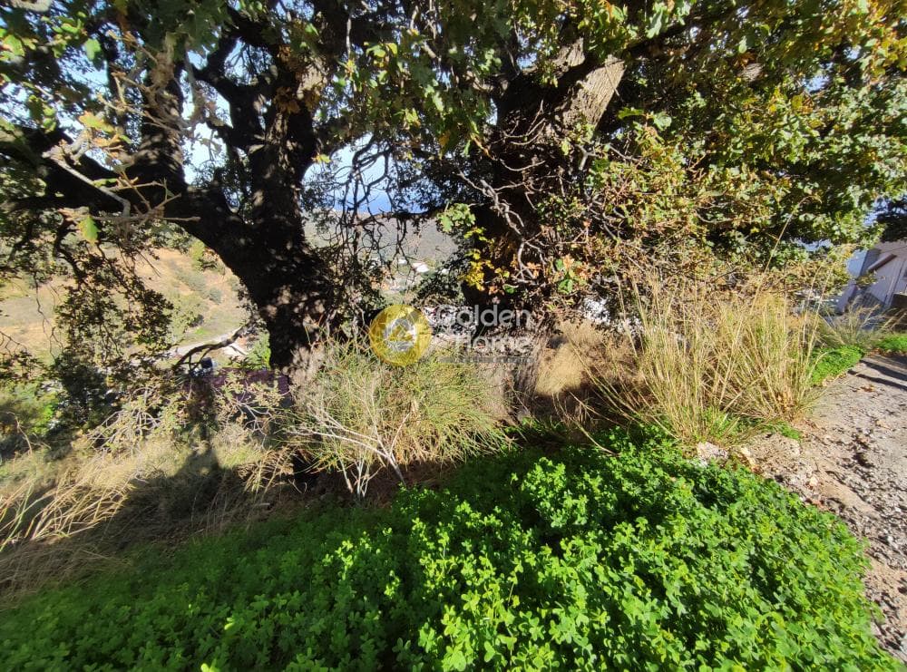 Οικόπεδο στην Ρογδιά, Γάζι — Φωτογραφία 2 από 2
