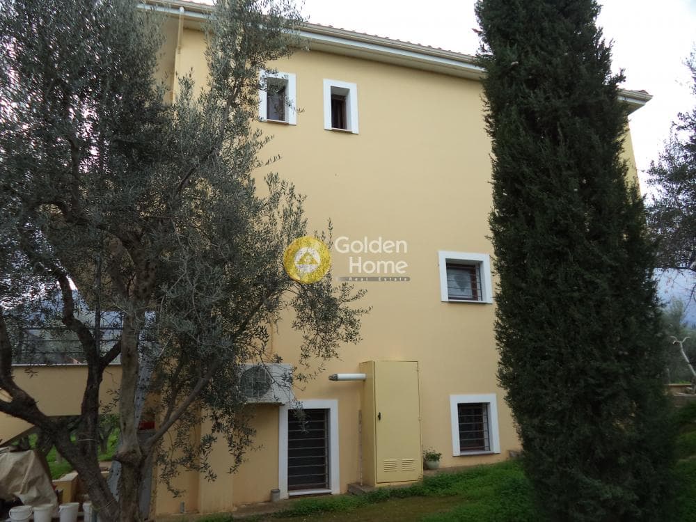 Μονοκατοικία στην Άγιος Νικόλαος, Αίγιο — Φωτογραφία 23 από 26
