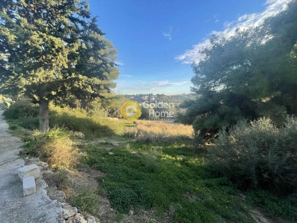 Parcel in Oikismos Vgena, Rafina — Photo 4 of 8