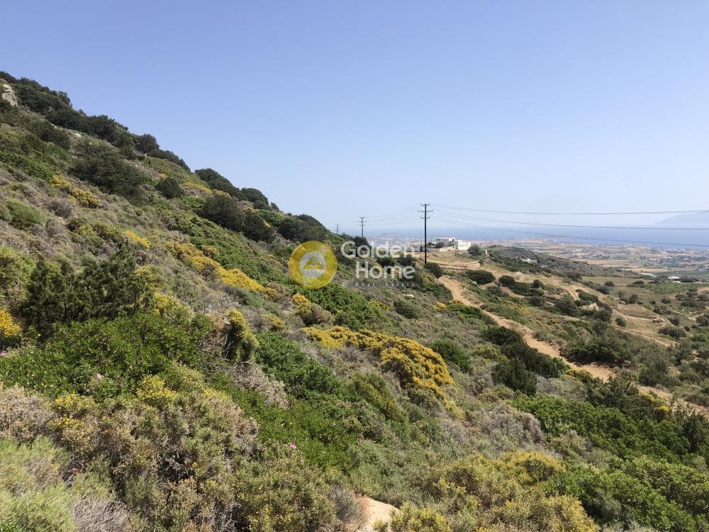 Parcel in Naousa, Paros — Photo 14 of 14