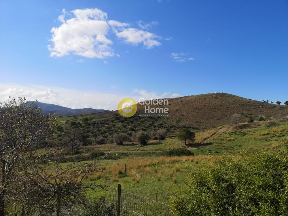 House in Kamariza, Lavrio — Photo 6 of 22
