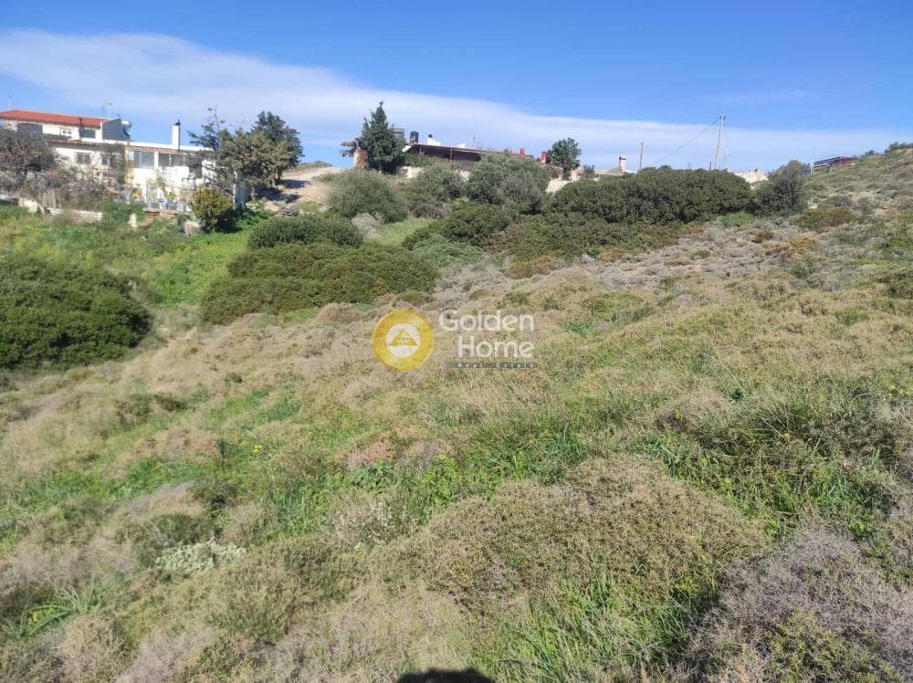 Αγροτεμάχιο στην Πόρτο Εννιά, Κερατέα — Φωτογραφία 4 από 8