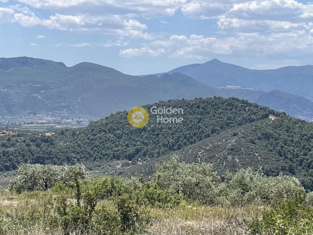 Οικόπεδο στην Βένιο Δασκαλειού, Κερατέα — Φωτογραφία 2 από 2