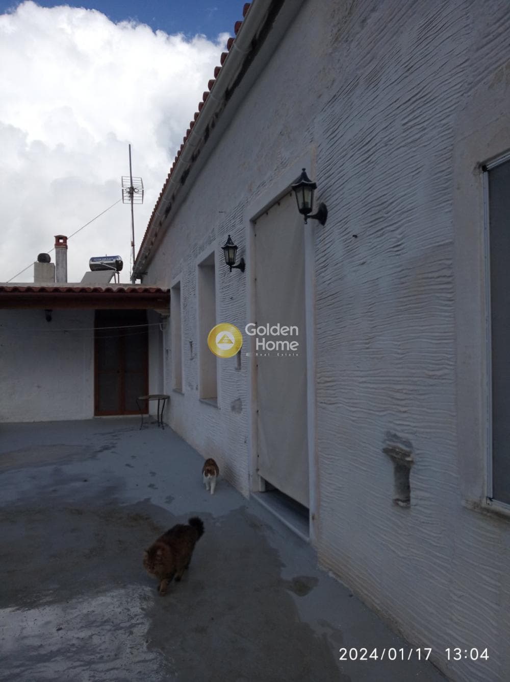 Μονοκατοικία στην Αλαδινό, Άνδρος — Φωτογραφία 8 από 12