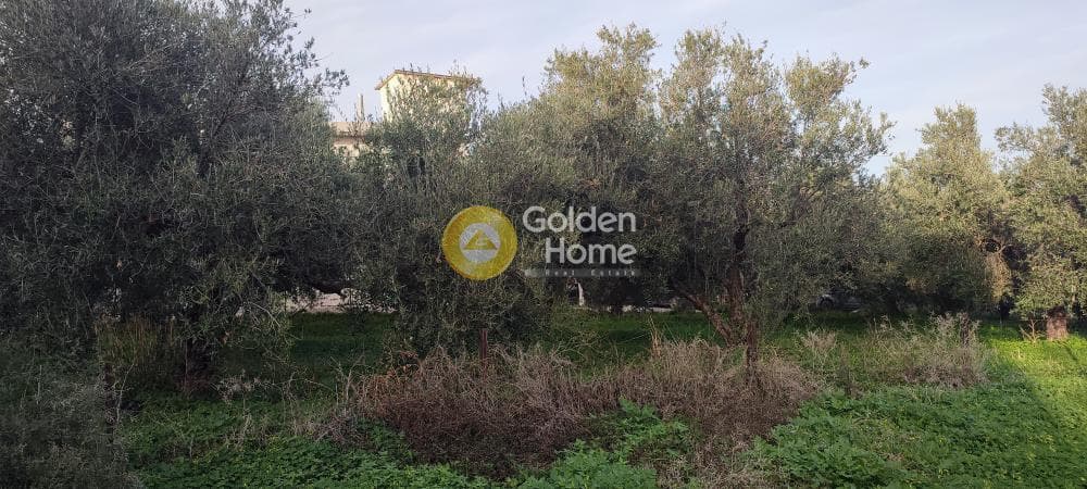 Οικόπεδο στην Ροδιά, Γάζι