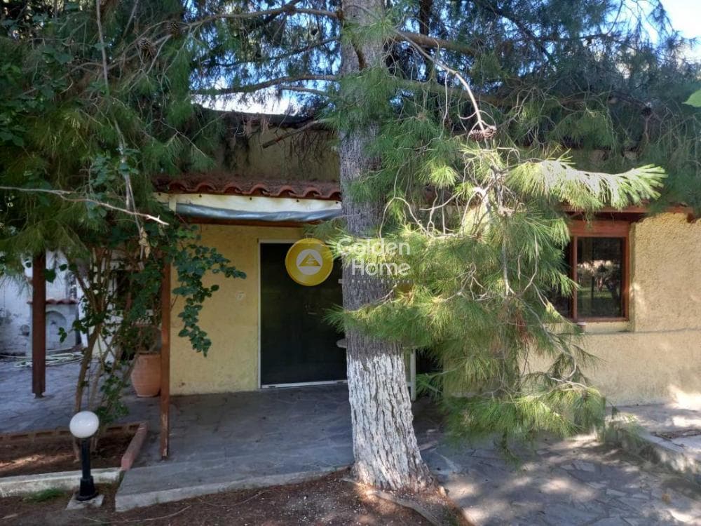 Οικόπεδο στην Άγιος Παντελεήμονας, Νέα Μάκρη — Φωτογραφία 4 από 11