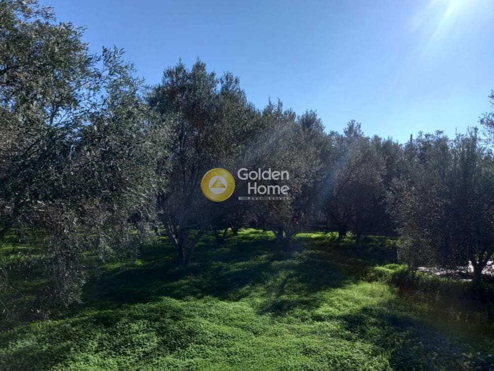 Οικόπεδο στην Άγιος Παντελεήμονας, Νέα Μάκρη — Φωτογραφία 5 από 11