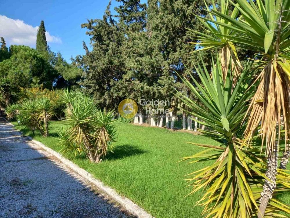 Οικόπεδο στην Άγιος Παντελεήμονας, Νέα Μάκρη — Φωτογραφία 7 από 11