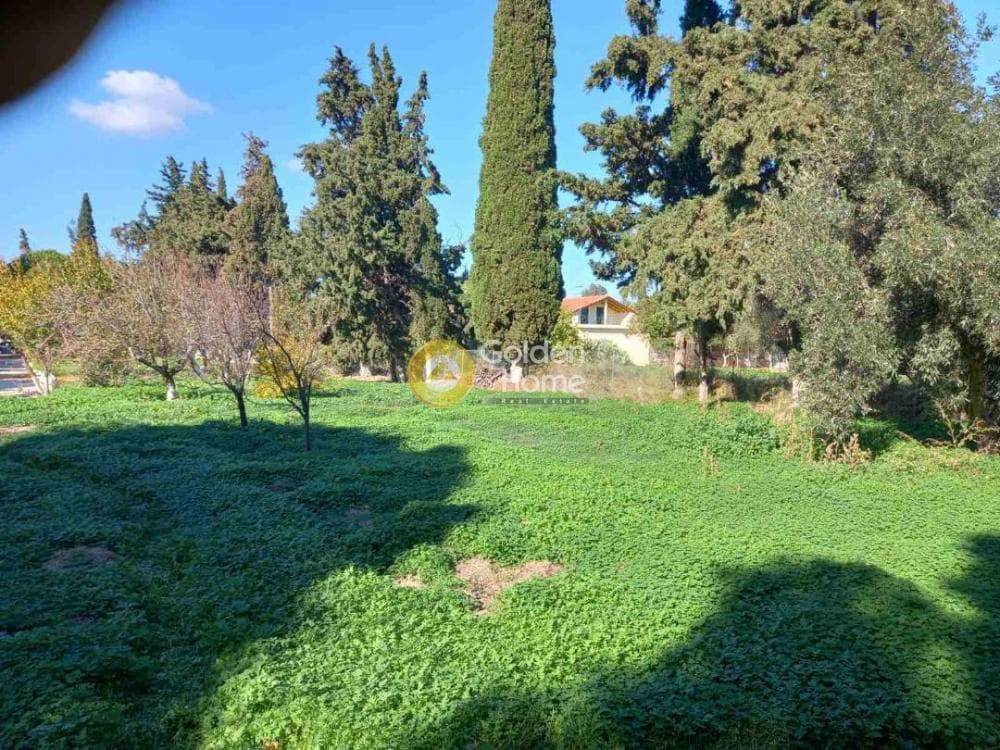 Οικόπεδο στην Άγιος Παντελεήμονας, Νέα Μάκρη — Φωτογραφία 10 από 11