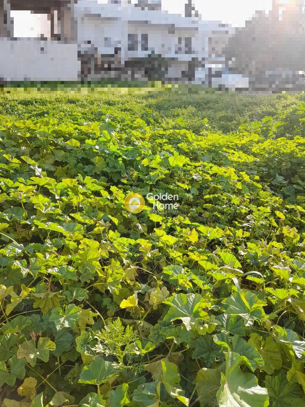 Building Plot in Kappariana, Moires — Photo 1 of 2