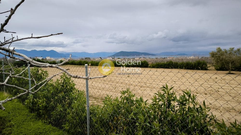 Οικόπεδο στην Παγώνι, Αίγινα — Φωτογραφία 1 από 3